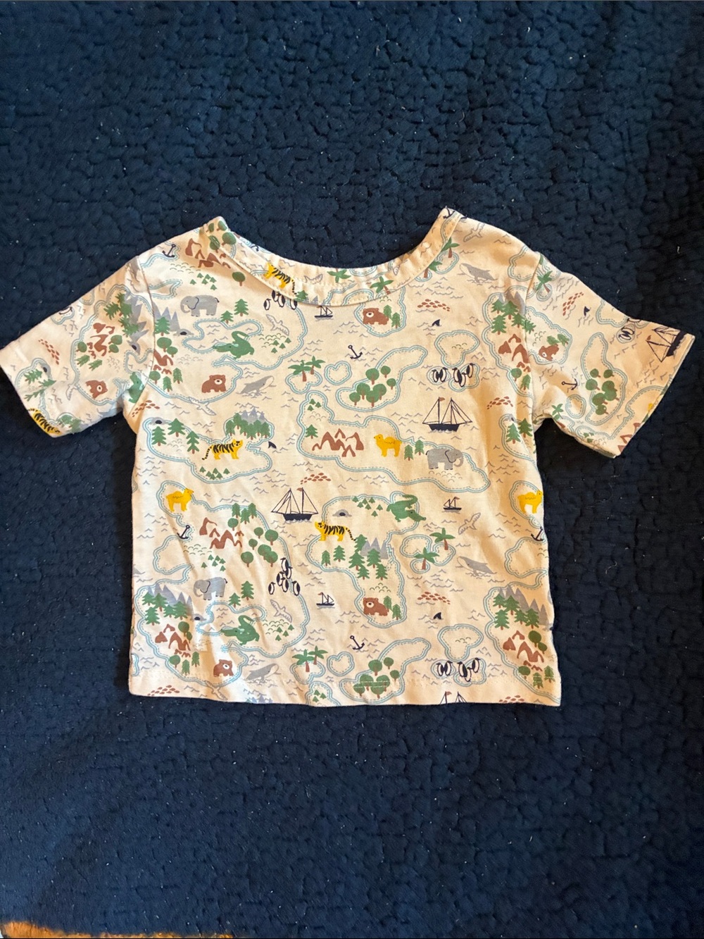 Picapino Short Sleeve Kids' Map & Animal Print